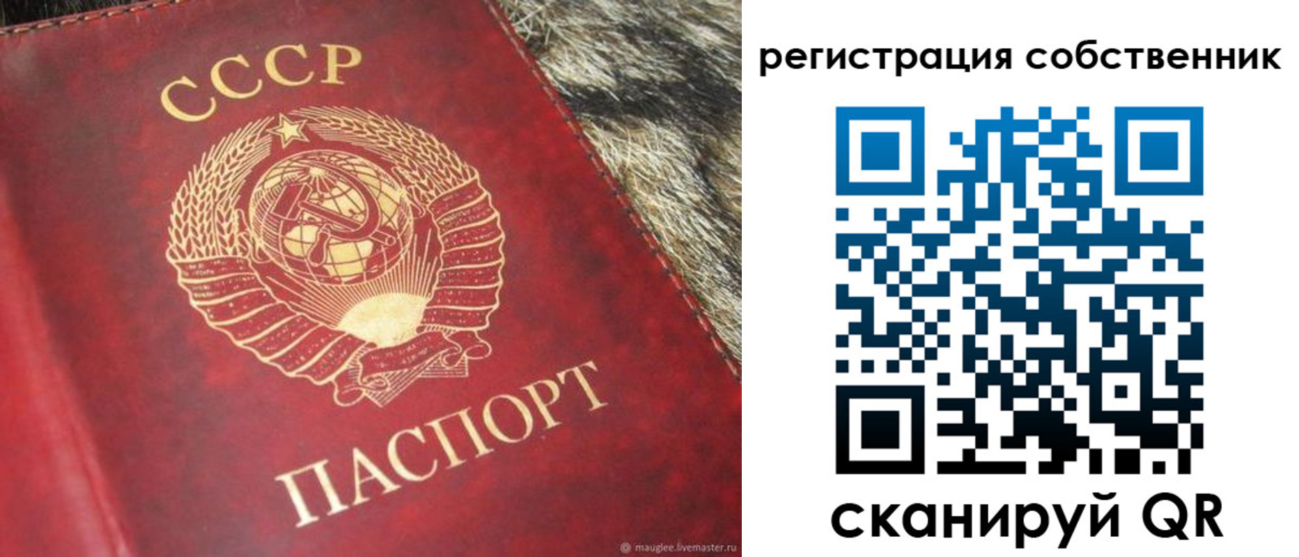 временная регистрация надежно в Снежногорске